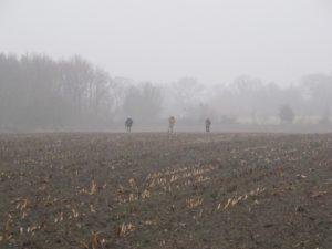 Een grijze vruchteloze dag in Basse